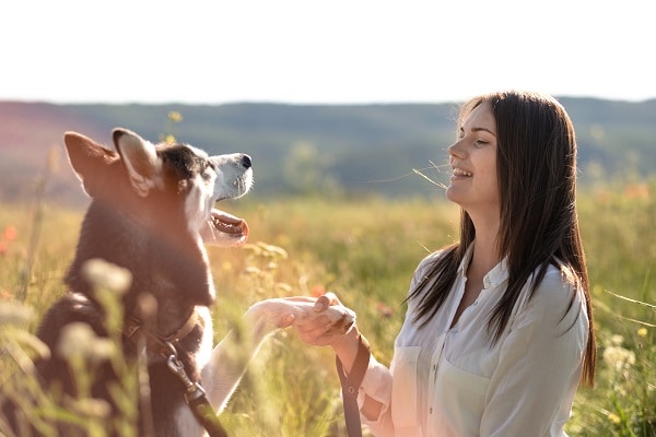 Keep Your Dog Cool