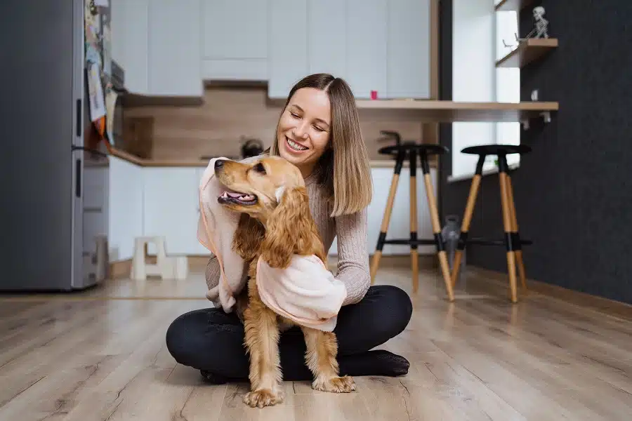 Dog