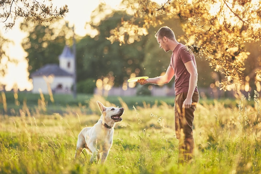 Dog Person