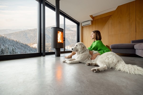Puppy-Proofing Your Home