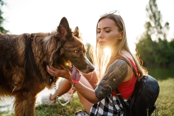 Dogs
