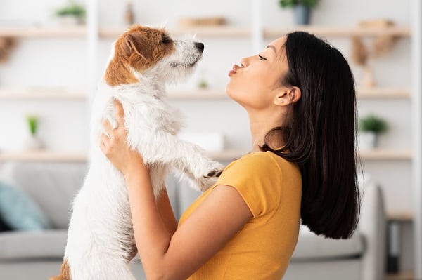 Get A Dog