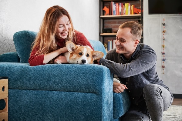 Strange But True Things About Dogs