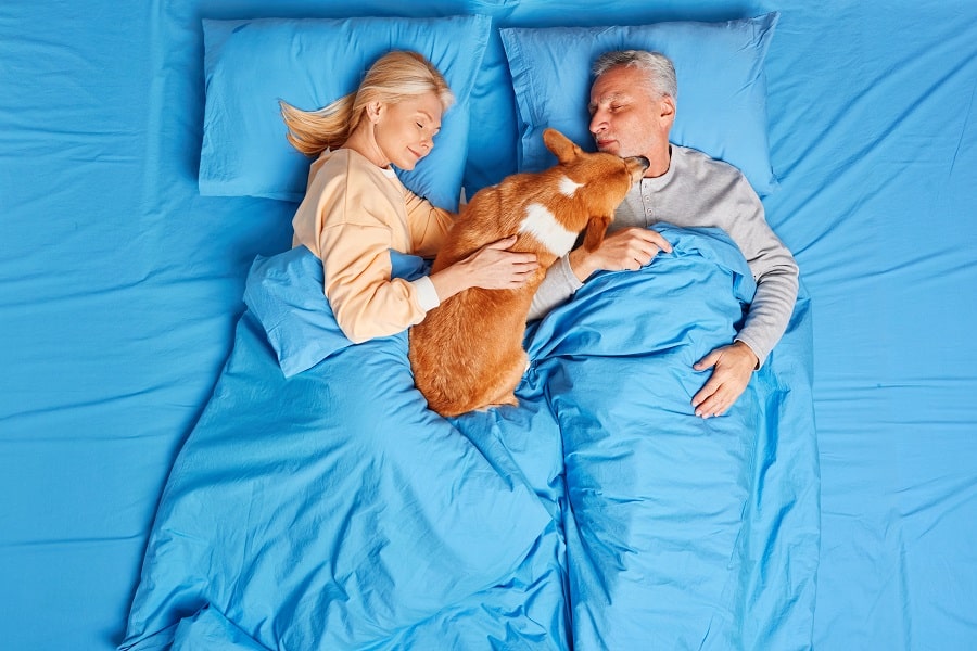 Your Pooch
