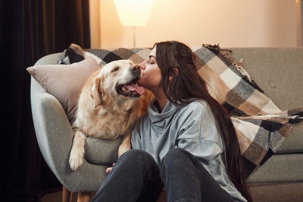 Puppy Getting Grey Hair
