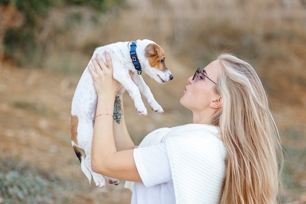 Puppy Getting Grey Hair