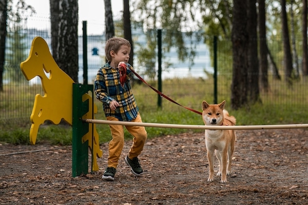 Training Techniques