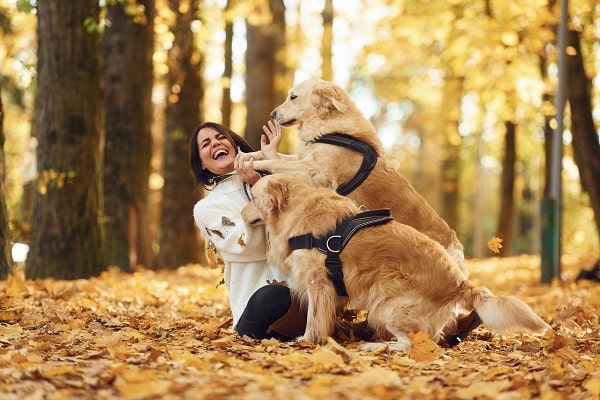 Walking Your Dog
