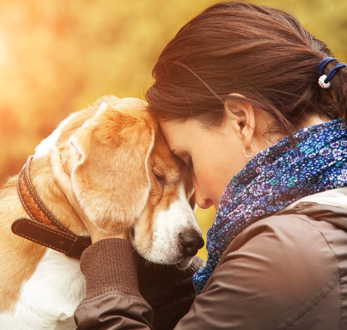Canine Companions: How Dogs Improve Your Mental Health