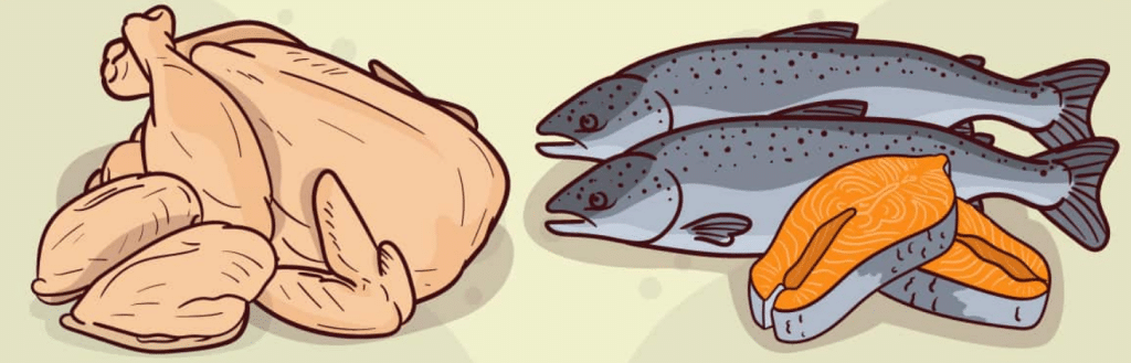 Balanced Diet: Breaking Down The Best Dog Food Ingredients