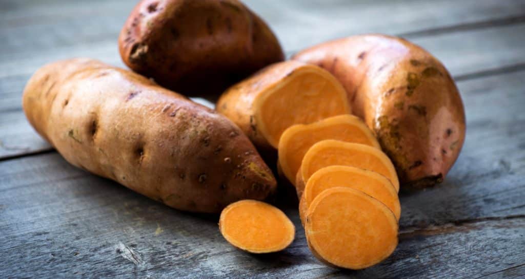 Balanced Diet: Breaking Down The Best Dog Food Ingredients
