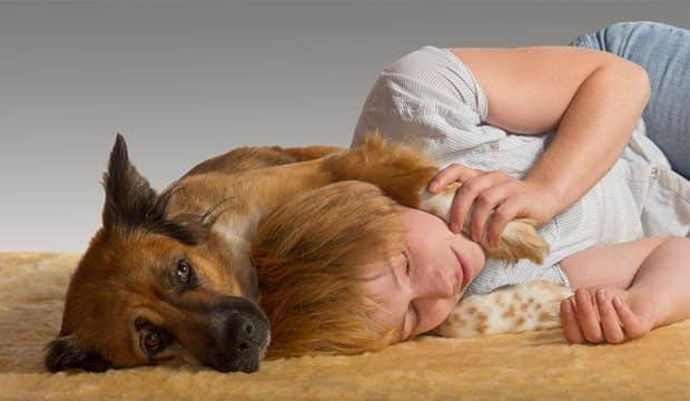 How Dogs Can Sense and Respond to Human Emotions