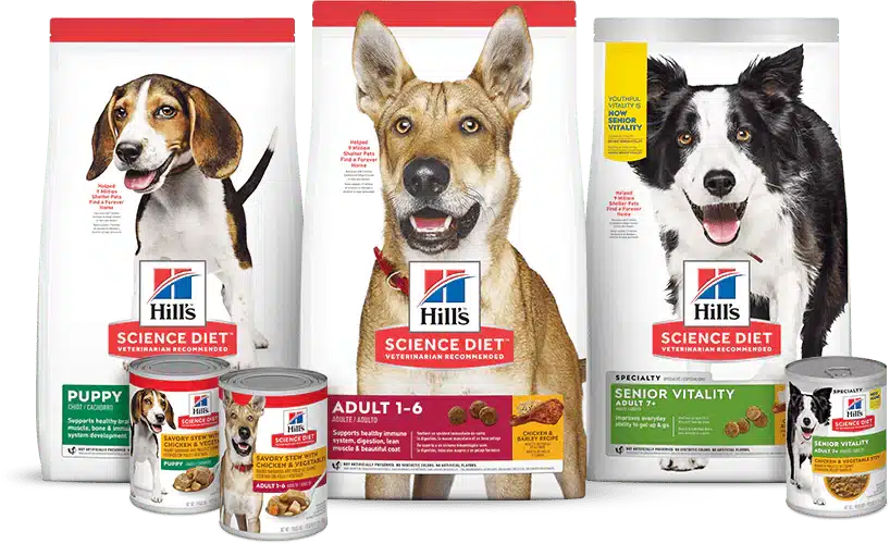 Balanced Diet: Breaking Down The Best Dog Food Ingredients