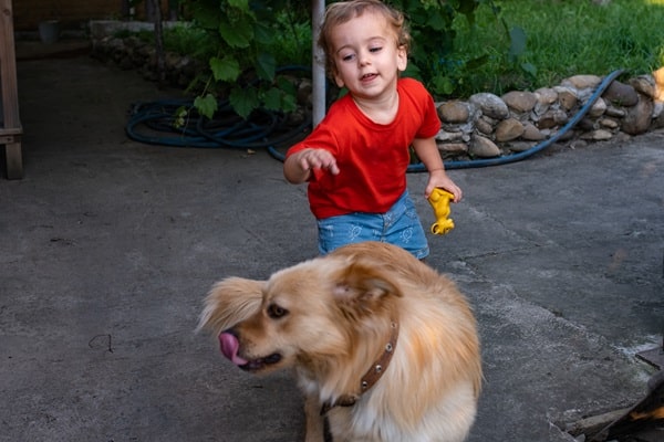 ‘Natural’ Flea Treatment