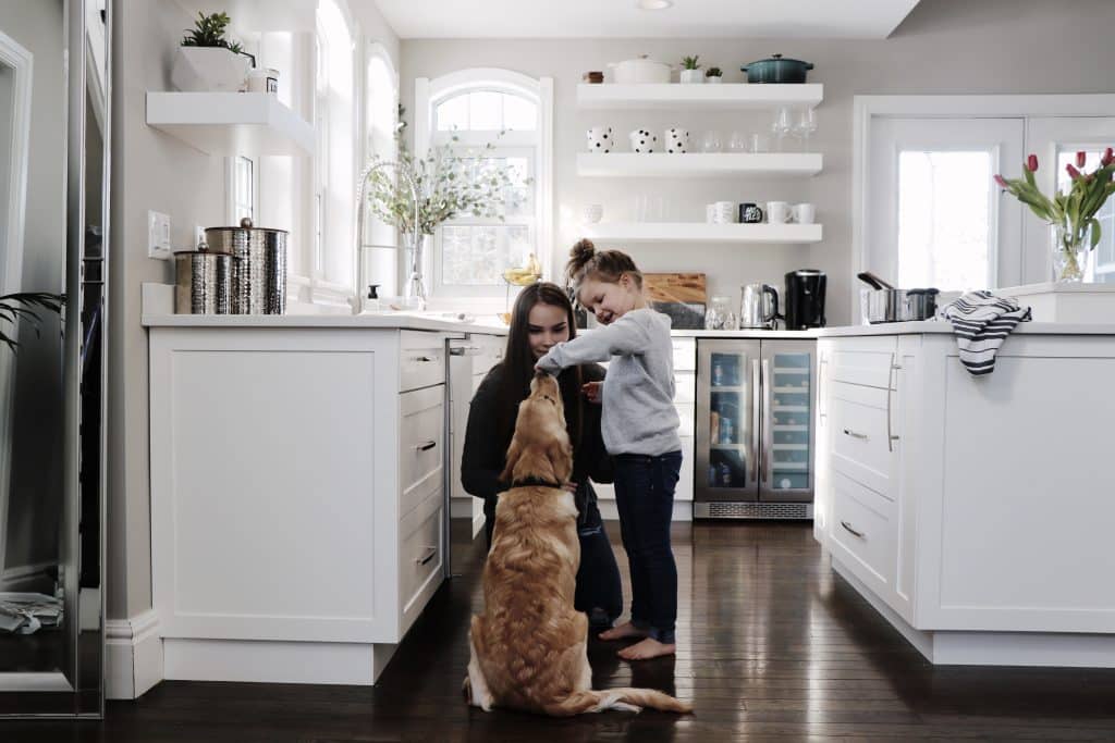 How to Dog-Proof Your Kitchen for Maximum Safety