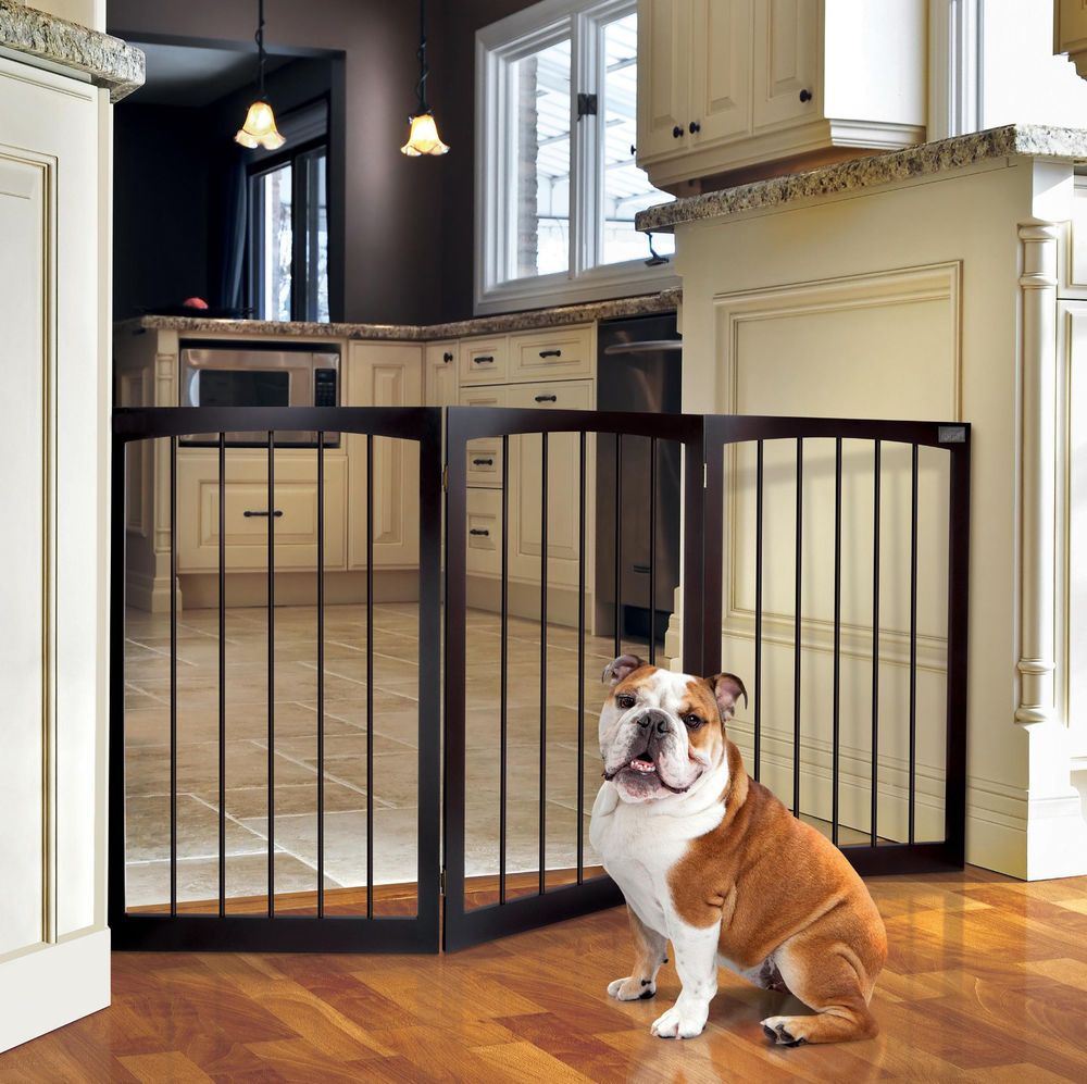 How to Dog-Proof Your Kitchen for Maximum Safety
