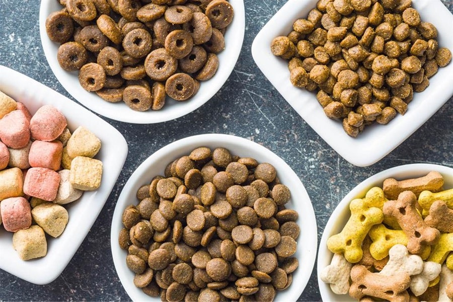 The Hidden Dangers Lurking in Popular Pet Foods