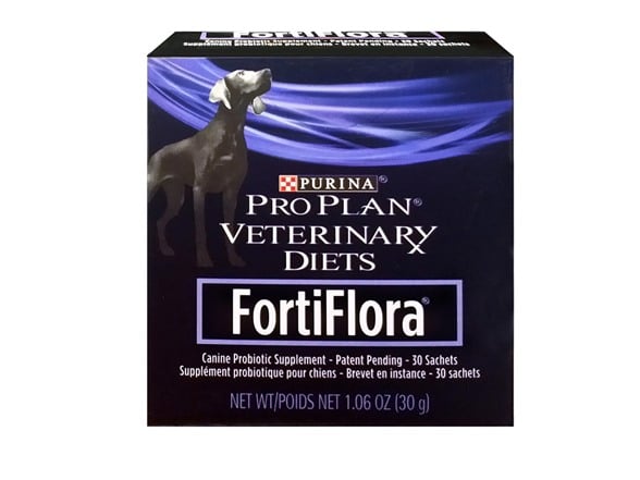 How To Treat Dog Diarrhea