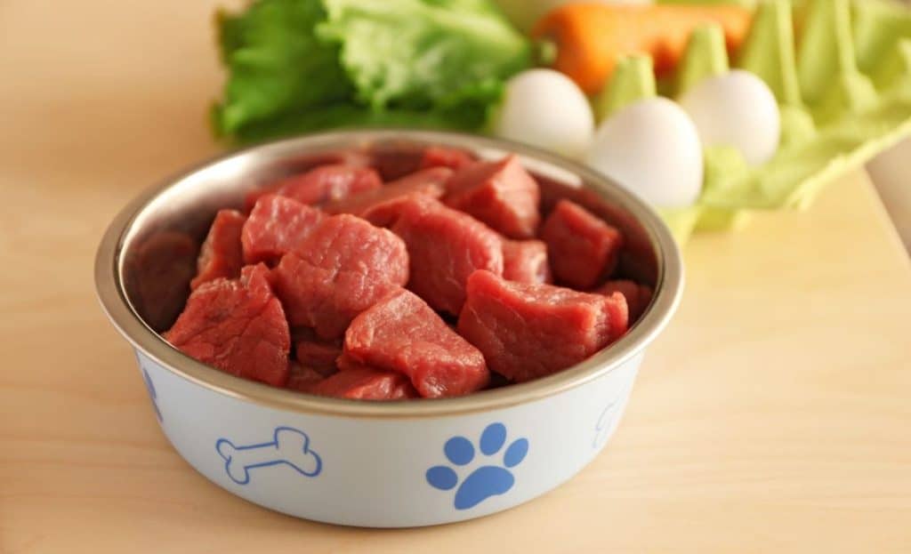 The Hidden Dangers Lurking in Popular Pet Foods