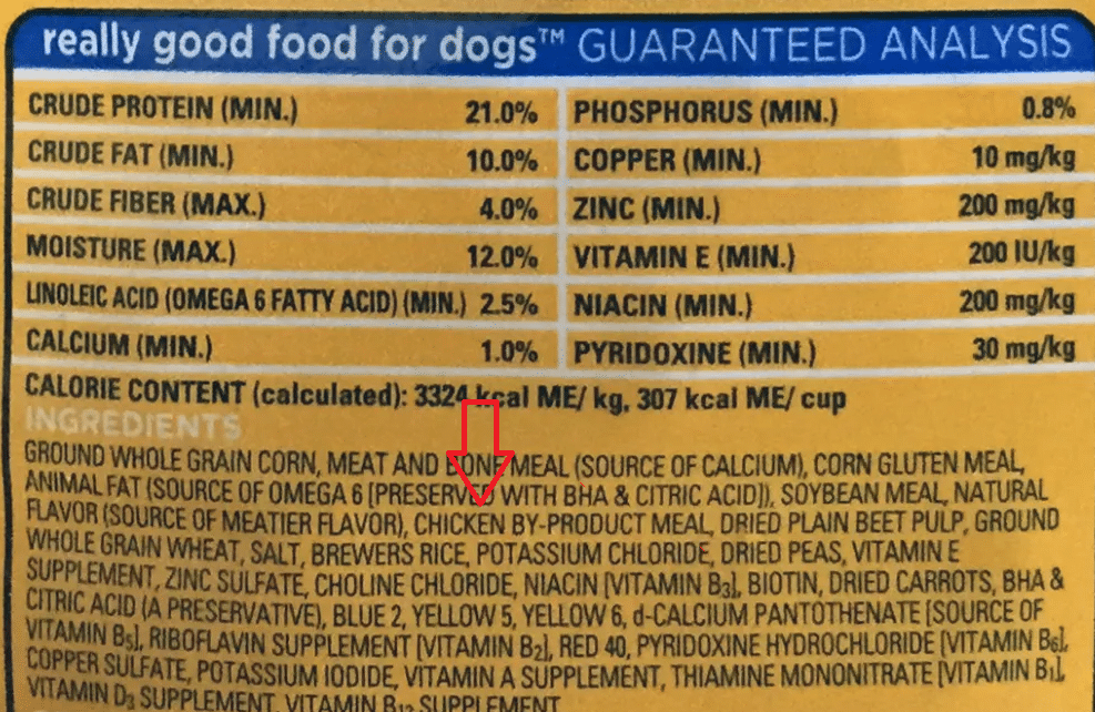 The Hidden Dangers Lurking in Popular Pet Foods