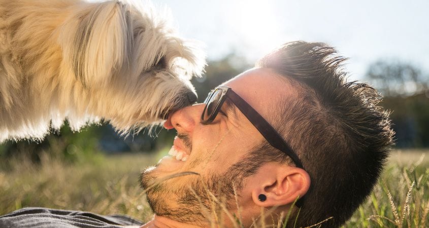 Navigating the Challenges of Dog Adoption