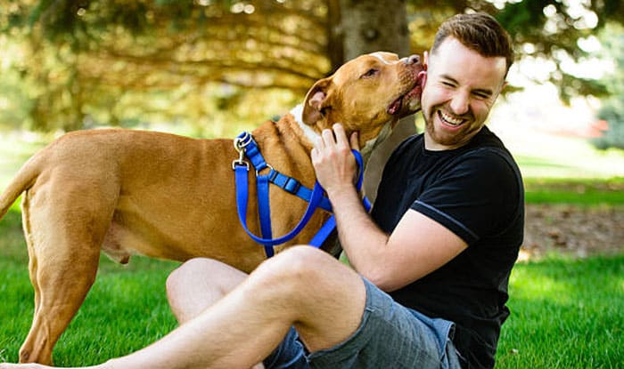 Dog Whisperer Techniques for Effective Communication