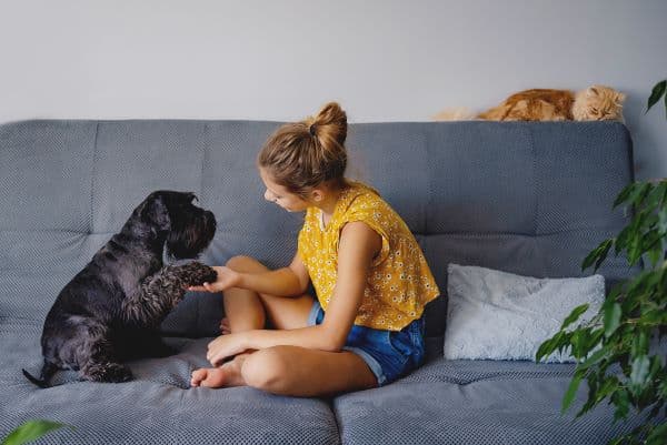 Dog Training