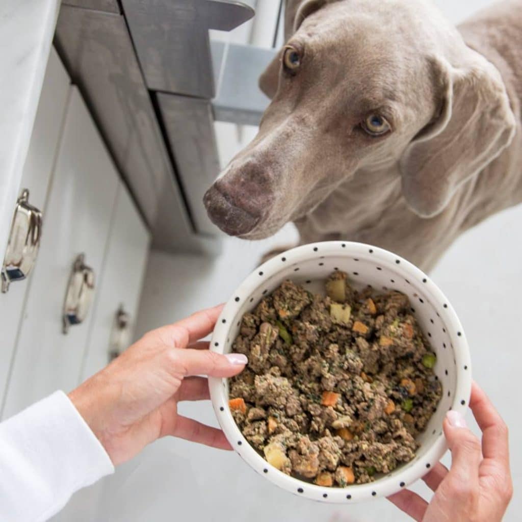 Crafting The Perfect Diet For Dogs With Food Sensitivities