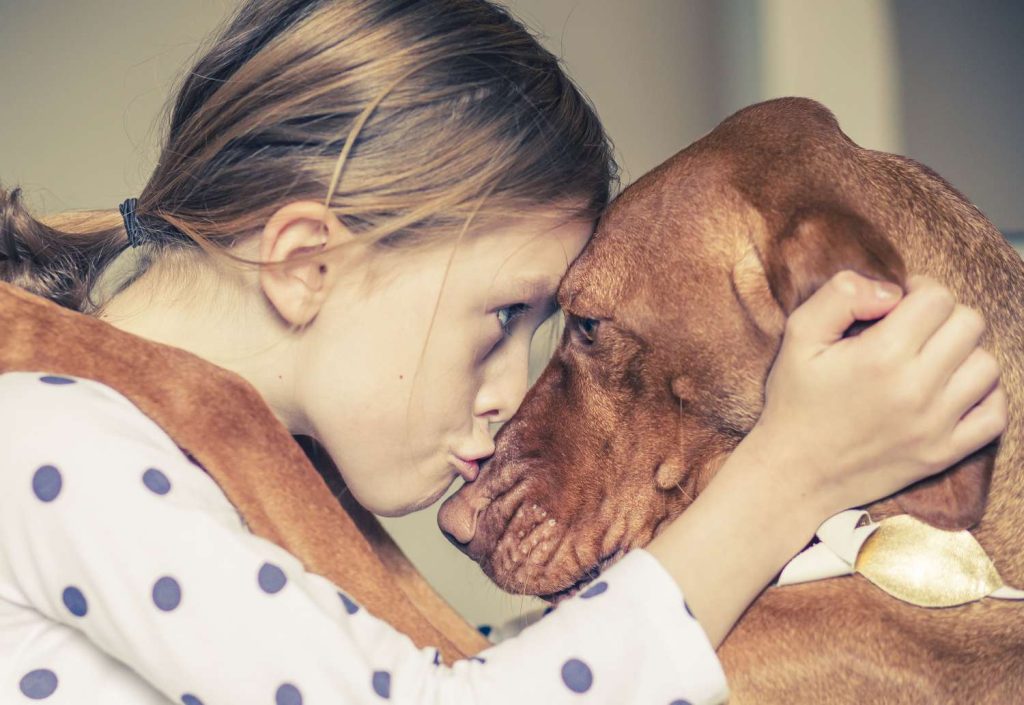 Deciphering Your Dog's Emotional Needs