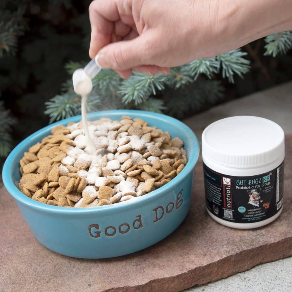 Crafting The Perfect Diet For Dogs With Food Sensitivities
