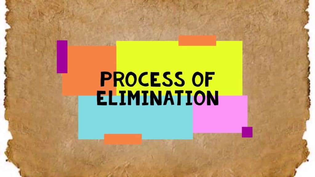 Crafting The Perfect Diet For Dogs With Food Sensitivities