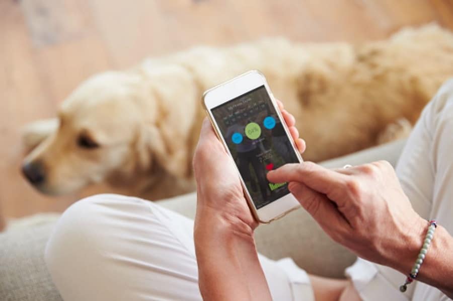 The Best Apps for Dog Owners in 2024