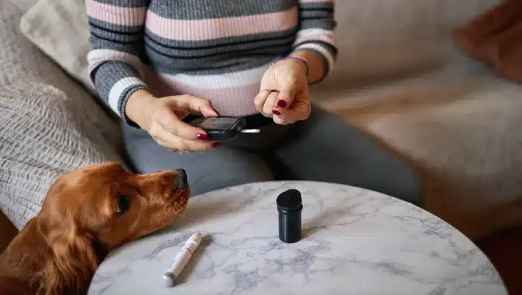 Can Dogs Detect Illnesses in Humans?