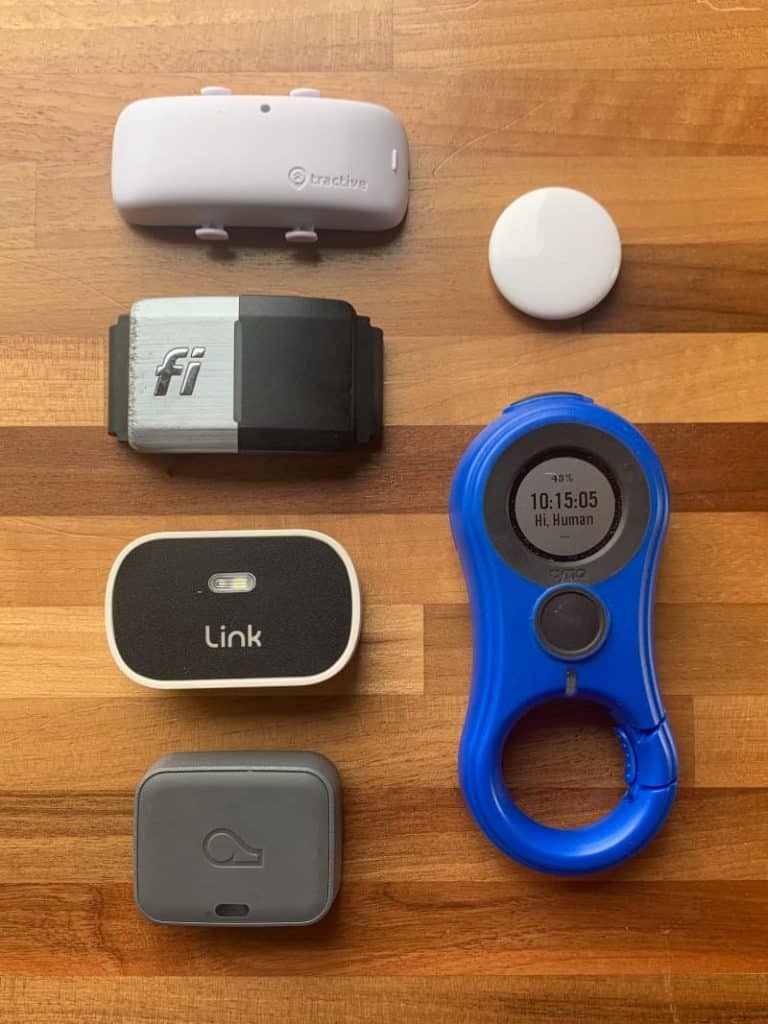 How Effective Are GPS Trackers for Dogs?