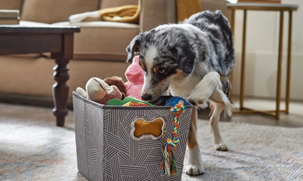 Dog-Friendly Home Decor Ideas