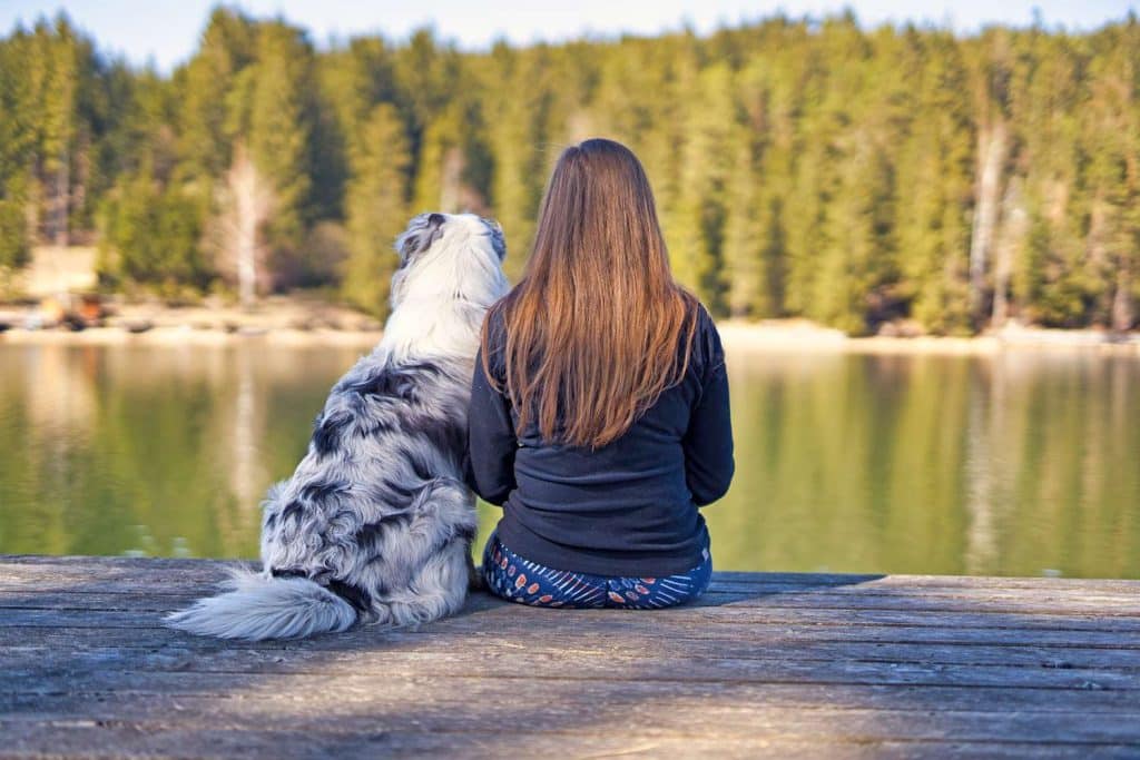How to Safely Introduce Your Dog to Water