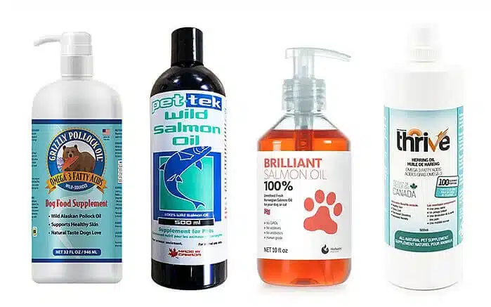 The Wonders of Fish Oil for a Dog's Coats and Skin