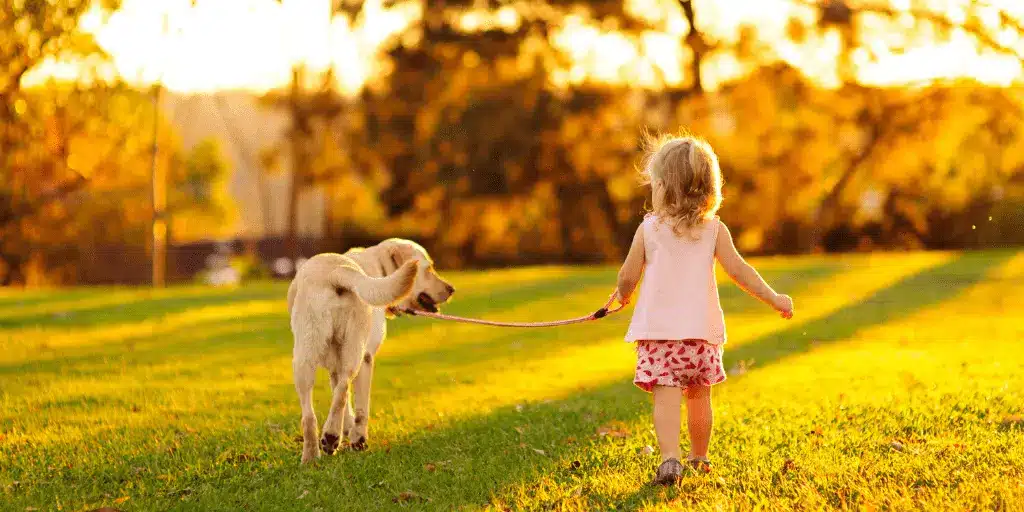 How to Plan A Dog-Friendly Vacation