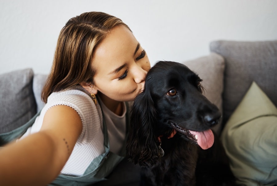 Ways Dogs Can Improve Your Health