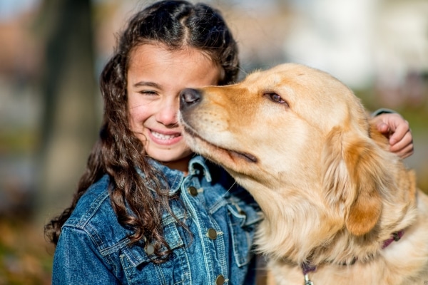 Hidden Dangers of Flea Collars