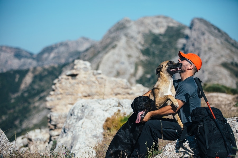Outdoor Activities to Tire Out Your Dog