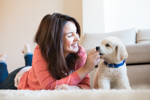 Why Some Dogs Prefer One Owner Over Another